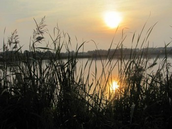 Мне бы в небо.. - IMG_20150510_155852_40.jpg