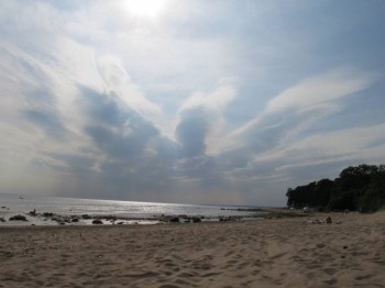 Мне бы в небо.. - IMG_1014[1].jpg