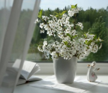 Доброго утра Хорошего дня Спокойной ночи  - 5498467 (1).jpeg