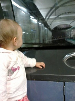 Чем сегодня занимались- 2 - Photo0113.jpg