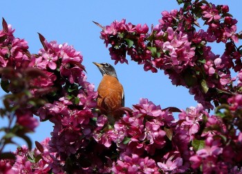 Времена года: лучшие мгновения - _X.jpg