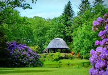 Времена года: лучшие мгновения - X.jpg