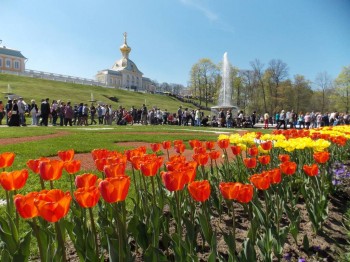 Времена года: лучшие мгновения - DSCN1504.JPG