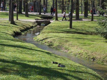 Времена года: лучшие мгновения - DSCN1593.JPG