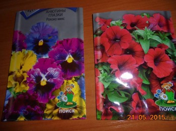 Декоративные садовые растения. - DSC01669.JPG