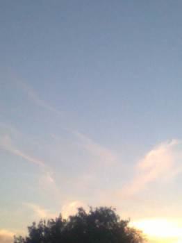 закат. Облака были похожи на крылья Ангела.