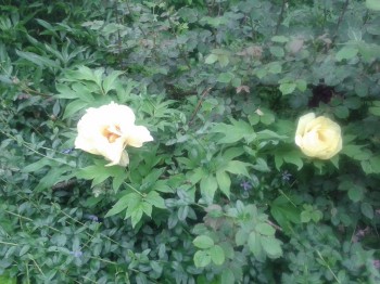 Чем сегодня занимались- 2 - 20150528_121929.jpg