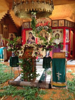 Чем сегодня занимались- 2 - фото 4 (4).JPG