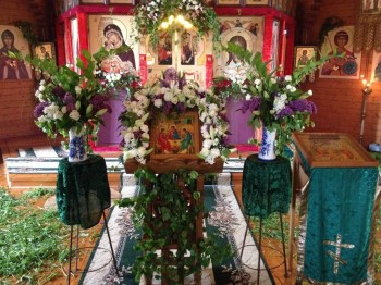 Чем сегодня занимались- 2 - фото (7).JPG