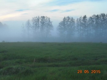 Рассветы... Закаты... - DSC01733.JPG