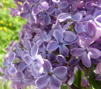 Времена года: лучшие мгновения - 0_667aa_3f85ffa8_XL.jpg