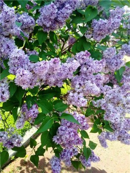 Времена года: лучшие мгновения - 4a99c075edb6.jpg