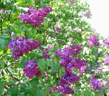 Времена года: лучшие мгновения - 3.jpg