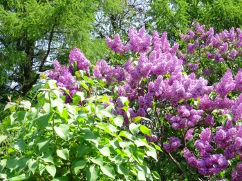 Времена года: лучшие мгновения - 9.jpg