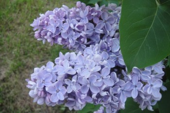 Времена года: лучшие мгновения - 22659.jpg