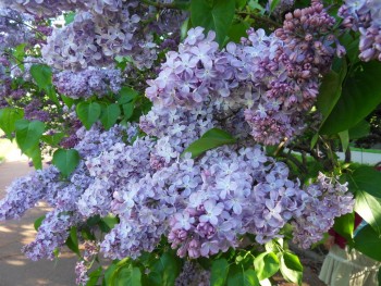 Времена года: лучшие мгновения - 123968899.jpg