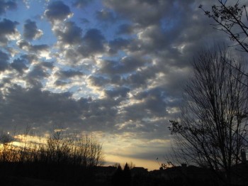 Вид со двора.