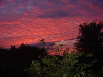 Вид со двора.