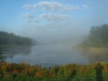 Парк в 5 минутах ходьбы от дома.