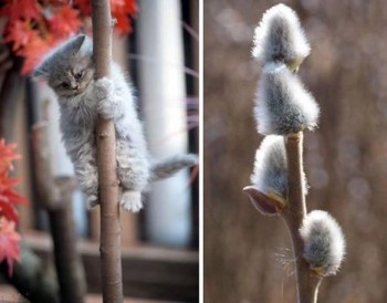 Из ВКонтактика с приветиком  - 72BMKIeRu04.jpg