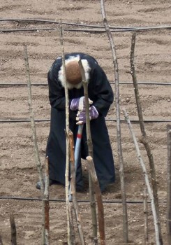 Притчи - fvsMvtkYvyQ.jpg