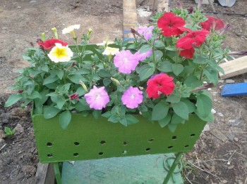 Мангал старый покрасила))