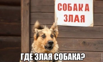 Из ВКонтактика с приветиком  - W29kYZ-aQHo.jpg