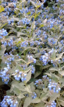 Времена года: лучшие мгновения - IMG_20150615_171126.jpg