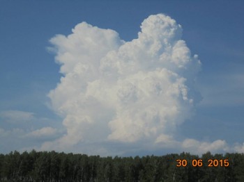 Мне бы в небо.. - DSC01837.JPG