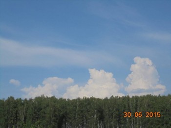 Мне бы в небо.. - DSC01836.JPG