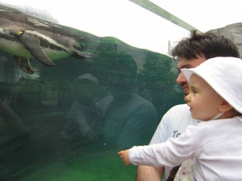 Чем сегодня занимались- 2 - IMG_3496.JPG