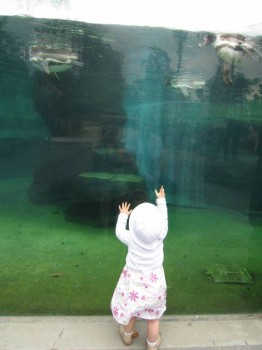 Чем сегодня занимались- 2 - IMG_3500.JPG