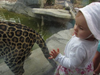 Чем сегодня занимались- 2 - IMG_3518.JPG