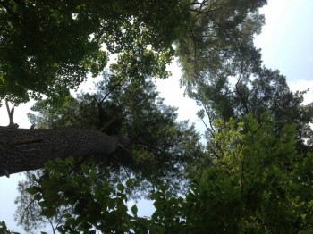 Чем сегодня занимались- 2 - IMG_4406.JPG