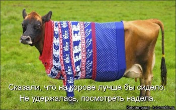 Cмешное из жизни животных. Фото и видео из интернета. - kotomatritsa_v.jpg