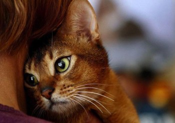 Аватарки. Наши интернет-лица-2 - 1437336905.jpg