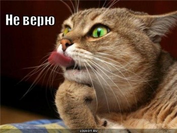 Расти коса до... - ne-veryu_1278960346.jpg