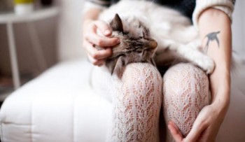 О стиле - azhurnye_kolgotki.jpg