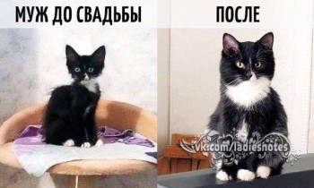 Из ВКонтактика с приветиком  - муж.jpg