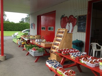 Один из многих фермерских базарчиков. В основном продают мед, голубику, вино (там большие виноградники), сидер, и спиртные напитки из кленового сиропа. Вообщем квасят по полной французы =)