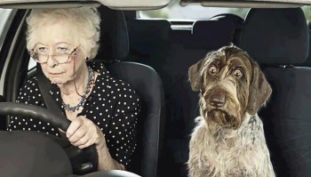 Пошалим? Выбери свою бабку  - image.jpg