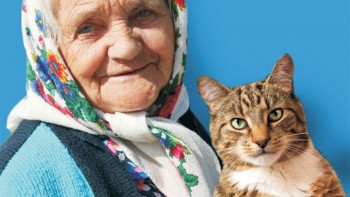 Пошалим? Выбери свою бабку  - FD0AB405-7F93-4835-B067-FB0F87BB4F82_cx0_cy55_cw0_w800_r1.jpg