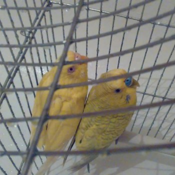 ВСЁ обо ВСЁМ или наши флудилки - 2 - 02-04-2015-1200-1200-deccd.jpg