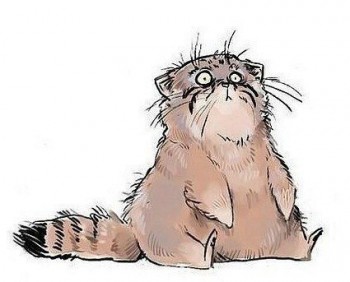 Из ВКонтактика с приветиком  - сижу жду счастья.jpg