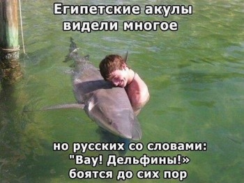 Из ВКонтактика с приветиком  - image.jpg