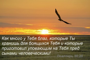 Душеполезное. - 5hF0kWSpTXw.jpg