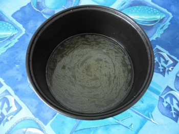 День первый. Суп - P1010994.JPG