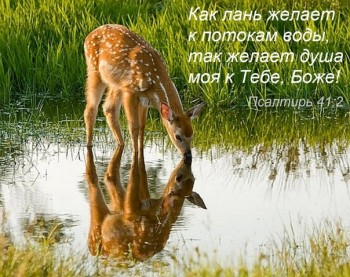 Душеполезное. - 93QdbQ8wZdM.jpg