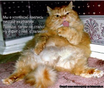 Cмешное из жизни животных. Фото и видео из интернета. - image.jpg