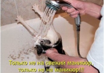 Из ВКонтактика с приветиком  - маникюр.jpg